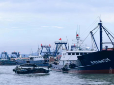 茂名滨海新区构建“海陆联动、多元共治”机制，涉渔纠纷调解成功率达98%以上