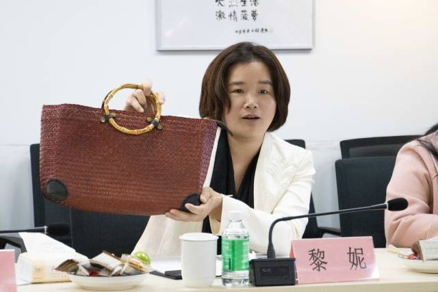 白云区驻麻章区委副书记黎妮