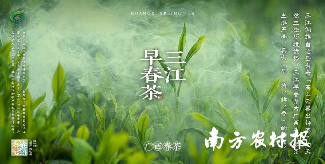 三江县茶叶种植面积达21.5万亩，年产干茶2.18万吨，年综合产值超86亿元，品牌价钱突破22亿元。