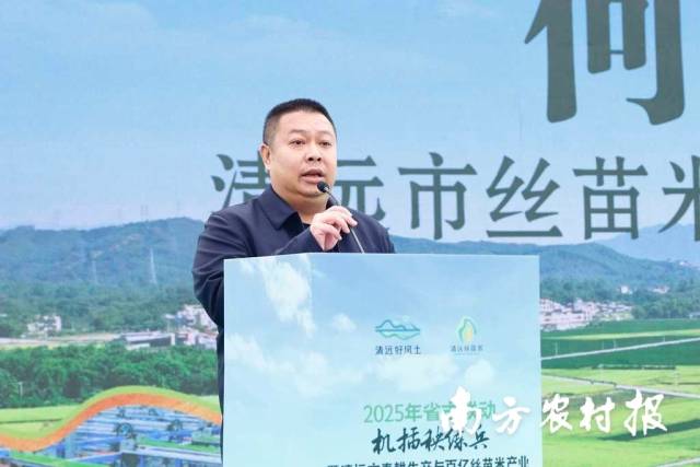 清远市丝苗米产业协会何冠洪：清远丝苗，今年继续清香溢远