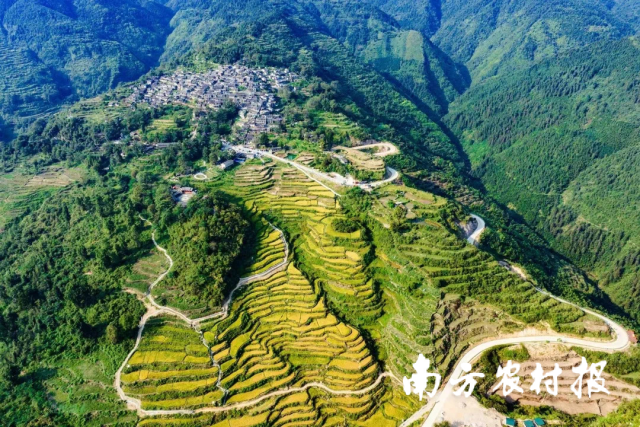 连南梯田风光。