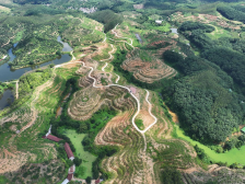 何以成就广东“养生大省”？ 来“三博会”体验药食同源魅力！‖广东农博会家底大盘点③