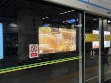 “桂字号”春茶亮相深圳地铁，开启一场跨越山海的舌尖春意