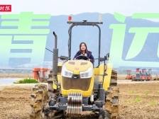 视频｜清远开耕啦！