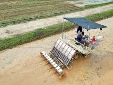 春耕备耕正当时，梅县区乡间田野奏响农忙序曲