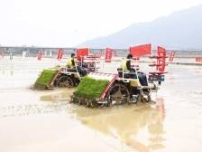 省市农机进清远联动练兵，瞄准大面积提单产部署春耕