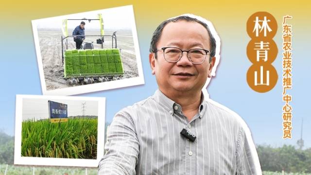 扩面积、提单产、增产量、促效益|农技护粮安