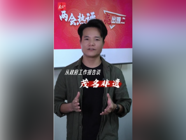 两会热评｜写在政府工作报告里的“非遗”，秀出茂名城市治理“三本账”