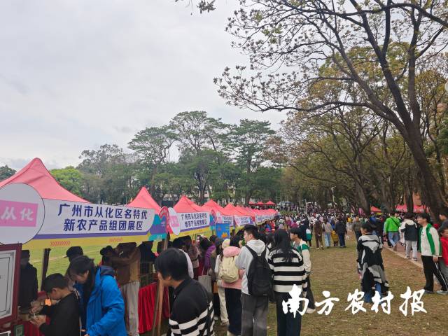 “从化名特优新农产品组团区”受到游客青睐。