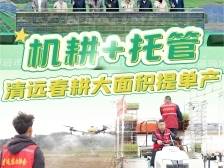 视频｜​机耕+托管！清远春耕大面积提单产！