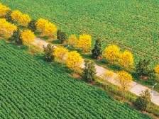 乘势“县”行 链向未来 | 速览《南方日报·遂溪视窗》146期