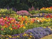 坐上白云站“开往春天的”高铁：带你看花、看山、看球、看浪漫……