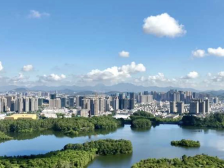 推动涉企执法“综合查一次”，营造更好营商环境｜“百千万”坪山在行动⑱