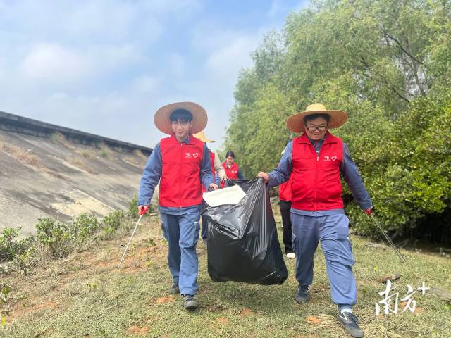 遂溪局组织青年志愿者在杨柑镇下埠村沿海红树林开展“守护红树林 共建绿美遂溪”志愿服务活动。