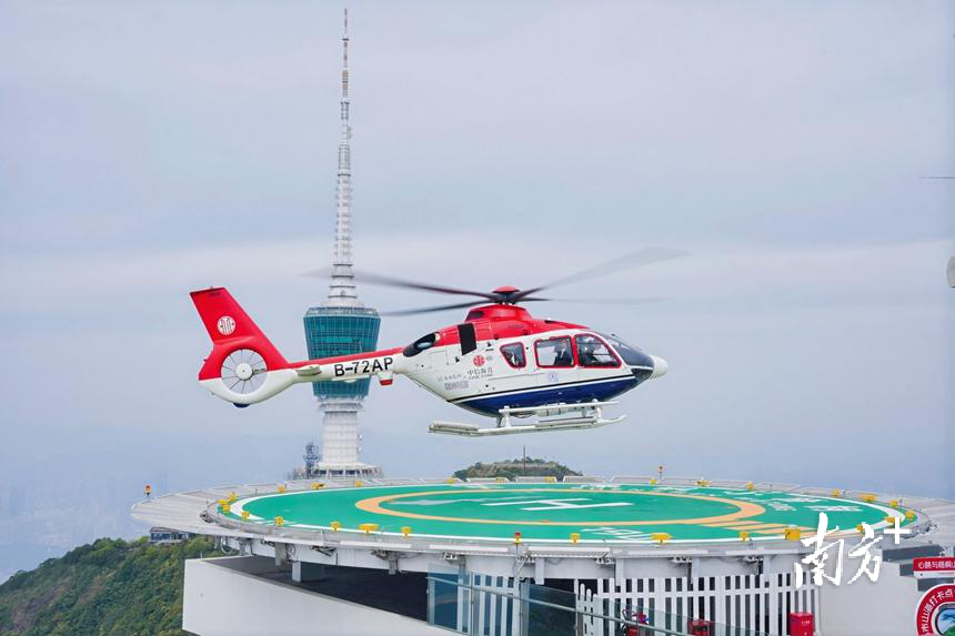 大梧桐生态融合区指挥部供图。鄉游 大梧桐生态融合区指挥部供图。圳啟