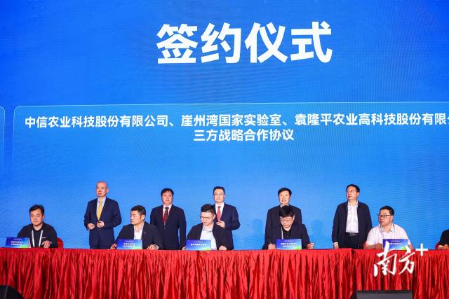 崖州湾国家实验室、中信农业科技股份有限公司、袁隆平农业高科技股份有限公司进行三方战略合作签约。