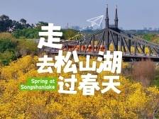 最美松湖 | 在松山湖，驶向漫画般的春天