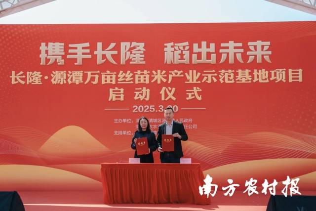 广东雄星新材料有限公司为代表与镇属企业清远源农农业投资有限责任公司签订丝苗米“认种”协议。