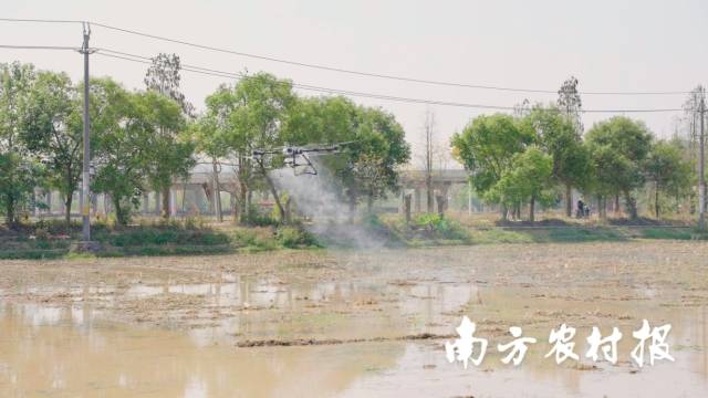植保无人机现场作业。