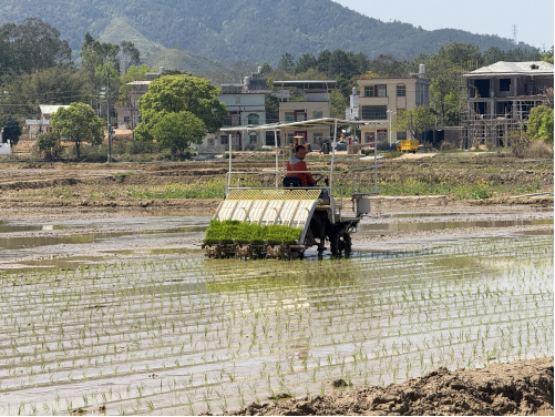 3月20日，2025年河源市春耕生产暨支农服务下乡现场会召开，“科技范”满满的农机装备精彩亮相。&nbsp;