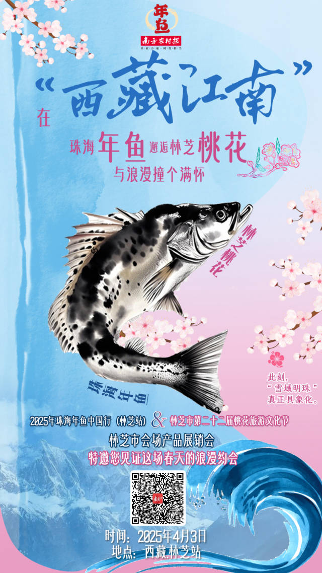 这是一封来自“藏地江南”的春日情书｜珠海年鱼中国行