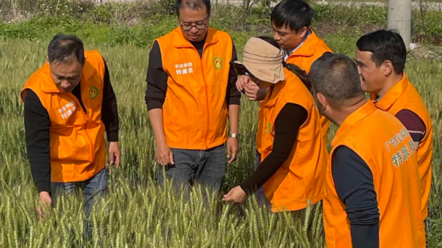 省级农业科技特派员为汕尾春耕“把脉开方”