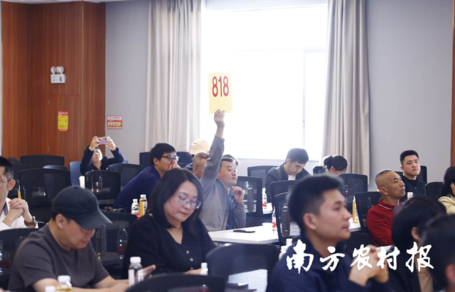 现场观众踊跃竞拍 现场观众踊跃竞拍