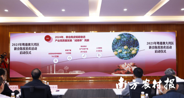 2024年新会陈皮产业成绩亮眼 2024年新会陈皮产业成绩亮眼