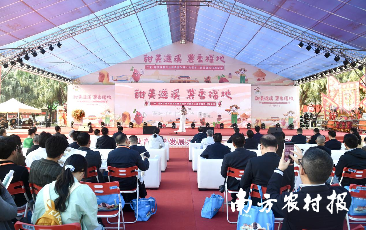 南方农村报 叶香玲 拍摄