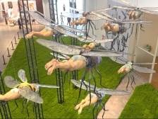 法国观众点赞，深圳也有了“超级酷”的展览｜深圳艺术周