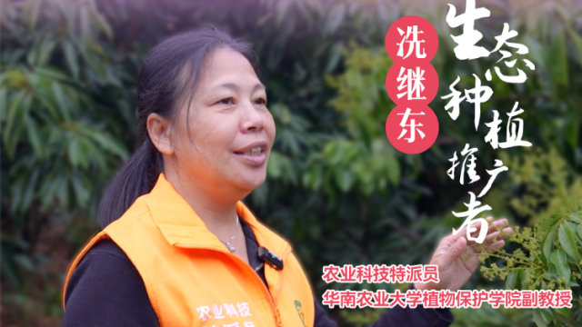 花期蒂蛀虫如何防治 | 农技先锋行