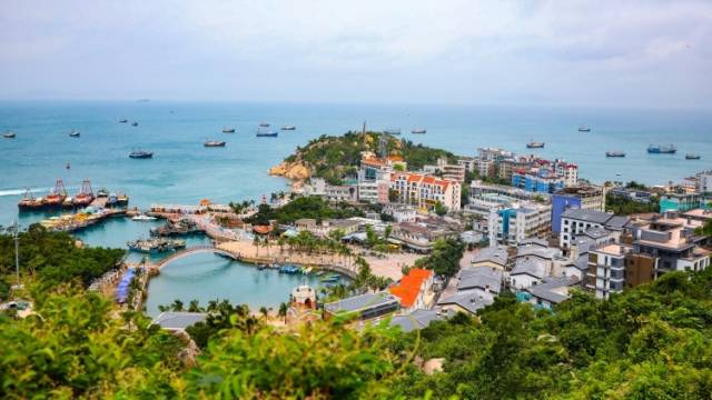 活用“党建+生态”模式，珠海担杆镇描绘绿美新画卷