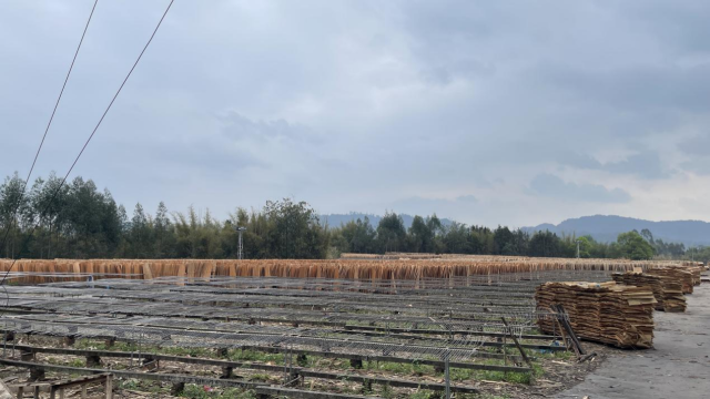 仁化县某胶合板有限公司厂地正在晾晒木材。
