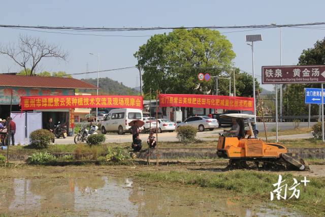 拖拉机翻压紫云英绿肥还田观摩