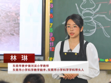 东莞科学教师谈践行教育家精神，把科学的种子播撒在孩子心田
