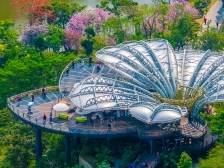 云山苍翠，英雄花开