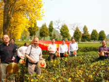 为英德红茶产业注入科技基因，鸿雁茶业春茶开采｜英德红茶头采系列专场②
