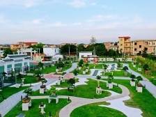 “美丽庭院”征集开始啦！优秀作品将在广州多地巡回布展