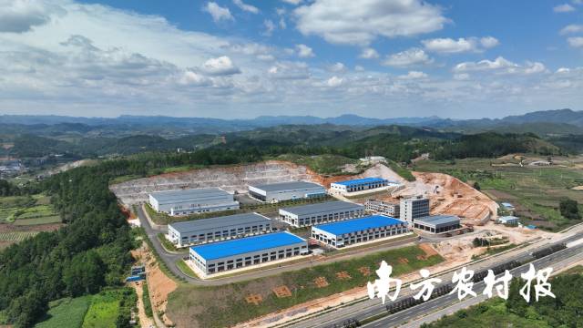 麻江县蓝莓交易中心。