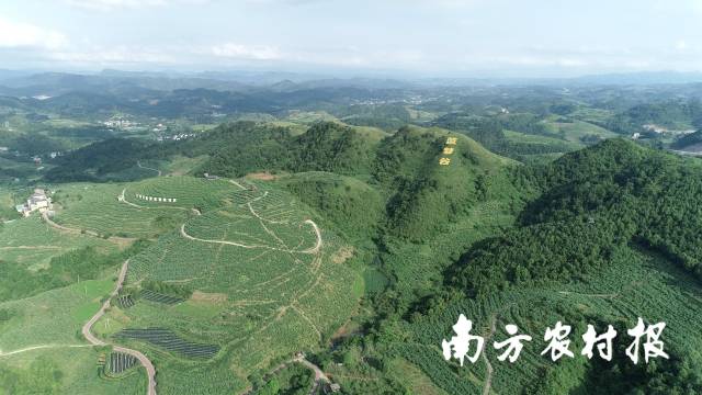 蓝梦谷鸟瞰图。