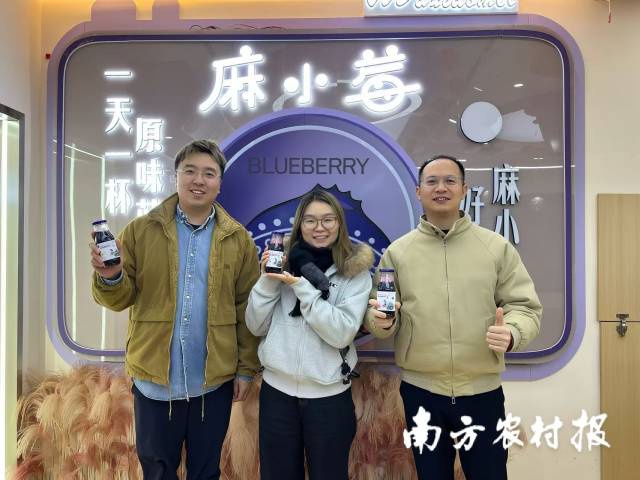 南方农村报《春风入山海》东西部协作深调研团队实地走访麻江蓝莓“麻小莓”旗舰店。