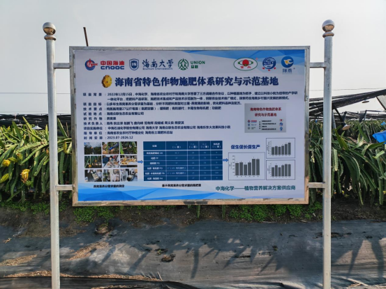 小院内介绍火龙果概况与养分管理的科普长廊。 小院内介绍火龙果概况与养分管理的科普长廊。