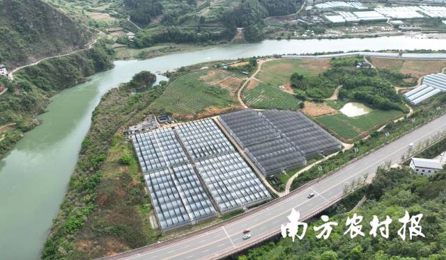 麻江蓝莓三江示范基地。