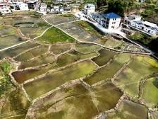 梅州大埔：从种子到智能化生产，科技赋能护航春耕