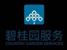 碧桂园服务2024年收入近440亿元，同比增3.2%