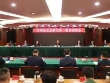 南方观察｜企业家敢提，党委政府真办！中山这场座谈会，提气