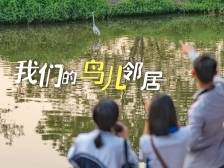 他们追逐飞鸟，记录广东生态之美｜生物多样性看广东