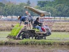 深入推进“田改”，探索建立“田券”指标交易制度｜中山两会