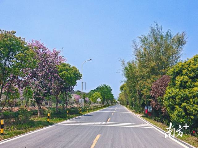 石门村绿意葱茏的美丽河道。贺欢 摄