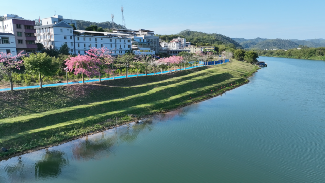 大洲美丽河道。